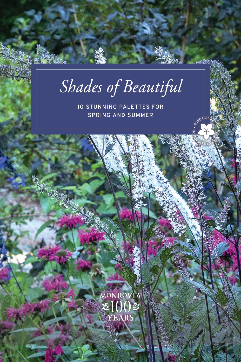 1000x1500-ShadesofBeautiful_2026_Cover