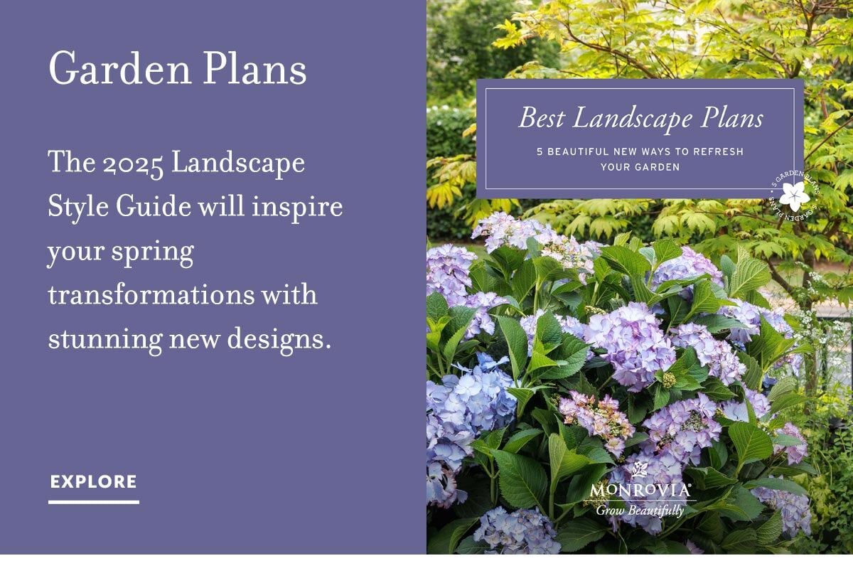 2025_03_Mar-gardenplans2