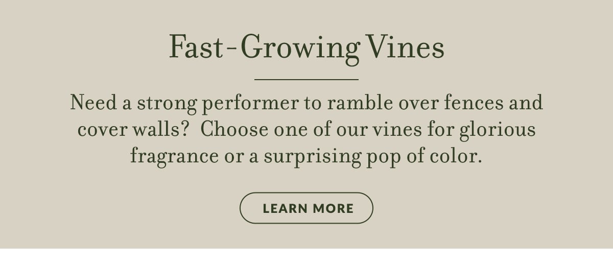 2025_03_Mar_fastgrowingvines