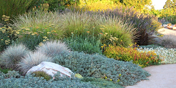 600x300 bliss garden designs landscape with boulder