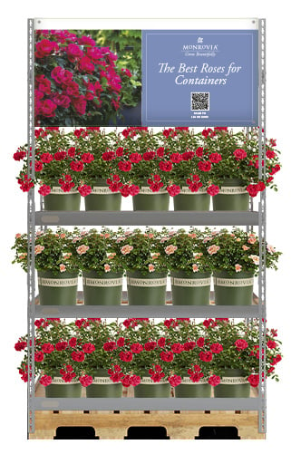 April_Rose_Container_Rendering_3