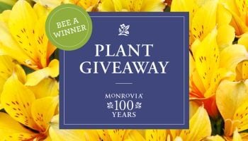 Facebook 1600x900 px