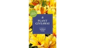 Instagram Story and Mobile Video 1080x1980