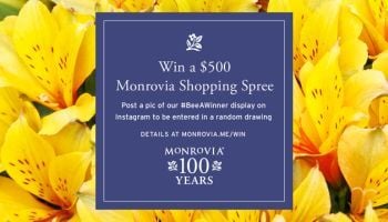 Grand Prize - Facebook and YouTube 