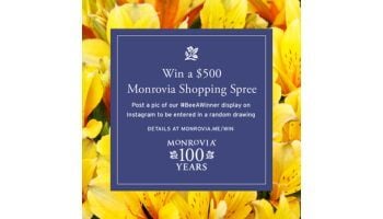 BAW spree IG thumb (1)