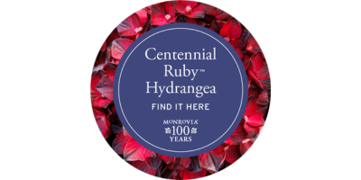 Centennial Ruby 300 circle
