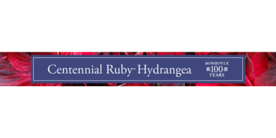 Centennial Ruby banner