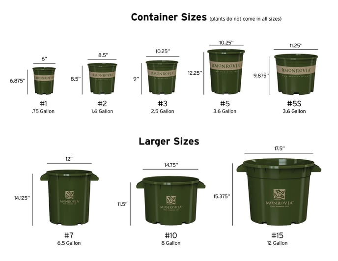 What is the volume and weight of your growing containers?