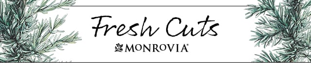 Fresh Cuts Header White Space