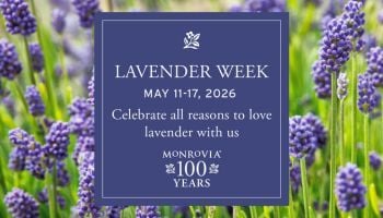 Facebook and YouTube