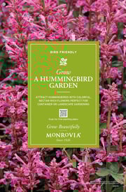 MN_Display_Poster_Hummingbird Plan_600927PX_23.5x36in_1
