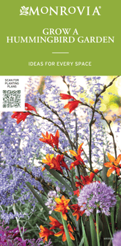 POP_Small A Frame_60135SAF_Hummingbird Program