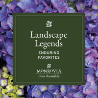 Social_Landscape Legends_2026-7_01_1080x1080