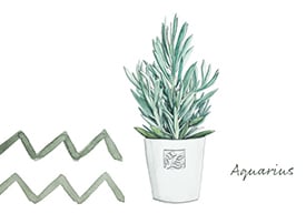 Zodiac_crop