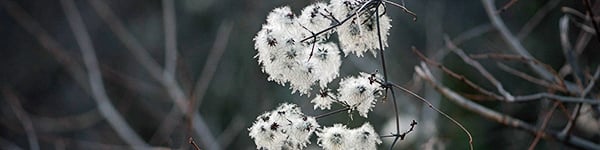 iStock-1130065686_600.150-2