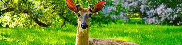 iStock-1156904700_600.150-2