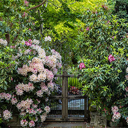 250sq Carharts-first-of-Spring_2130M_1024x577