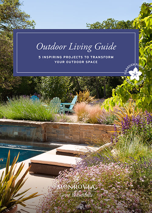  Monrovia_OutdoorLivingGuide_06 copy 2