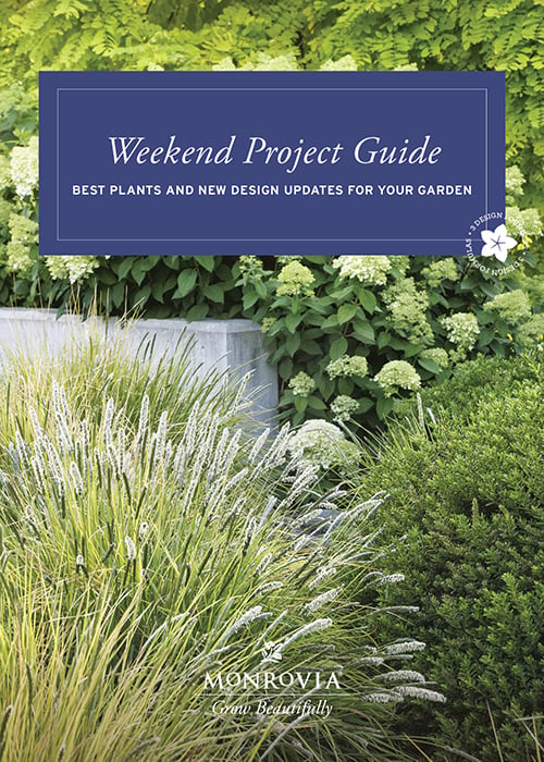 Monrovia_WeekendProjectGuide2024-Cover-new copy