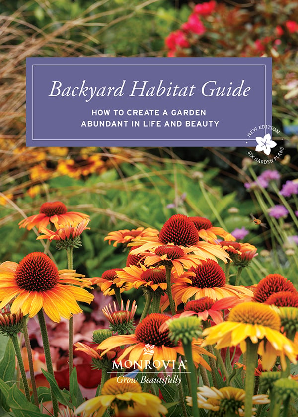 BackyardHabitatGuide-062023-Cover copy