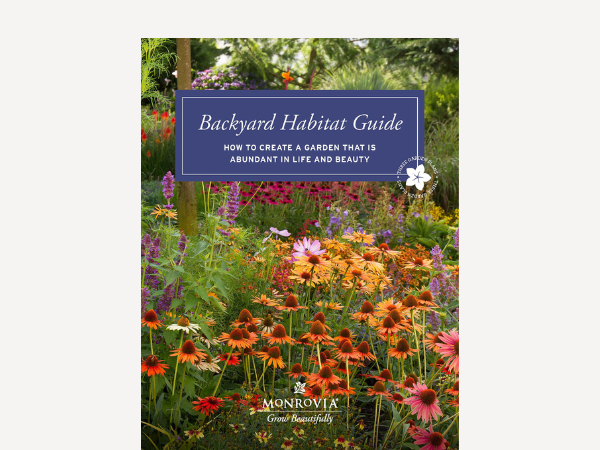 Copy of 22 backyard habitat guide 600x450 (1)
