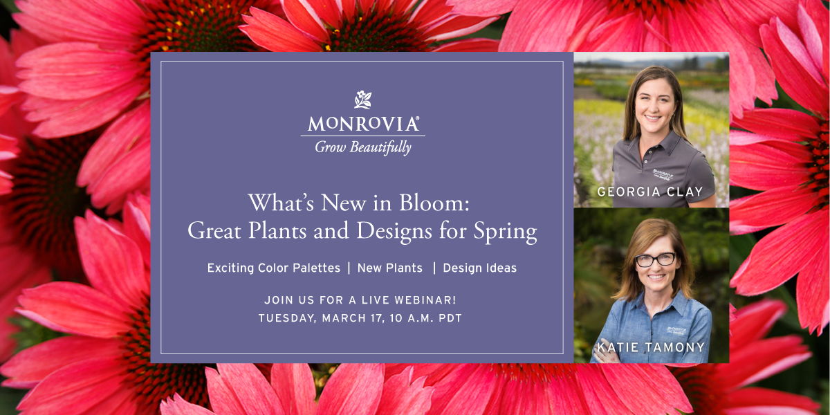 Webinar_032026_01-01