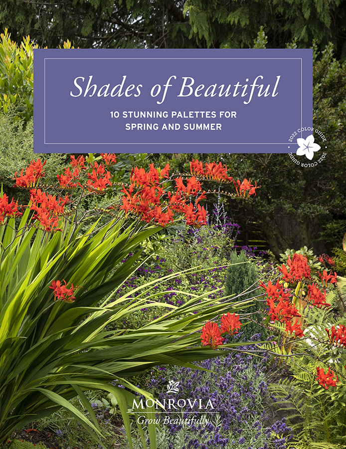 resized shades of beautiful cover