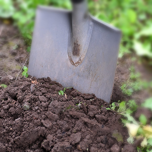 soil_600sq_2
